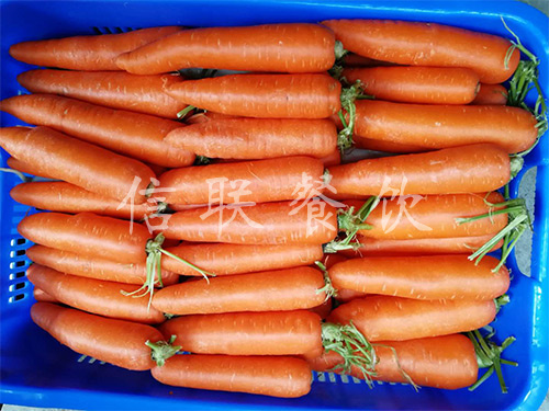 紅蘿卜